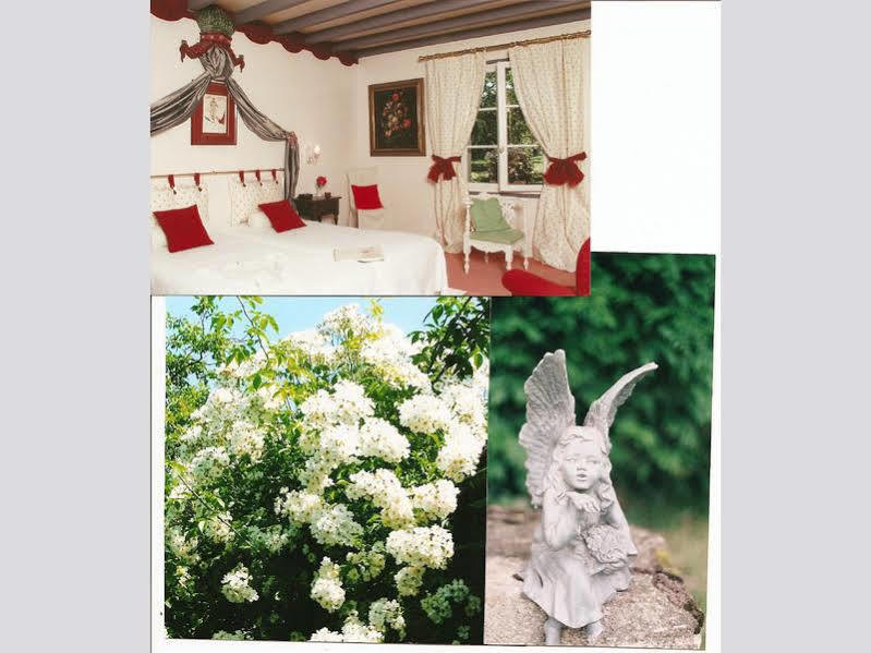 Bed and Breakfast Le Petit Manoir Des Bruyeres Villefargeau Exterior foto